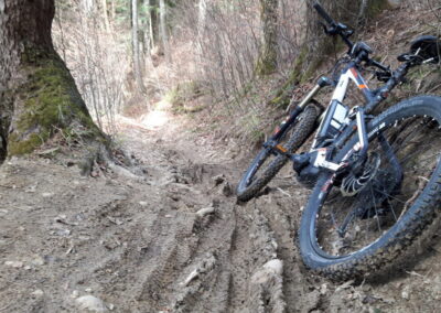 Bergamont E Bike MTB Fully lehnt an Bord bei Wanderweg