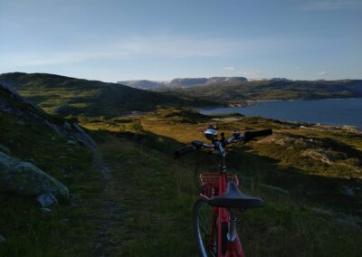 Landschaft in Norwegen mit Diamant Juna Retro E Bike