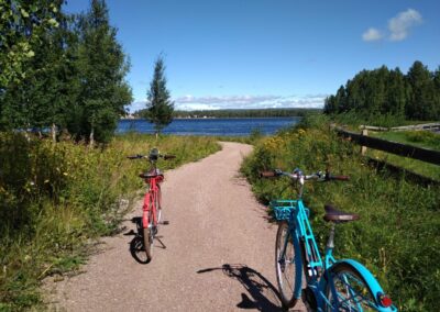 Retro E Bike vor Landschaft mit See