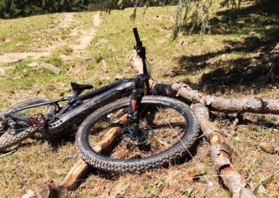 E MTB liegt am Boden