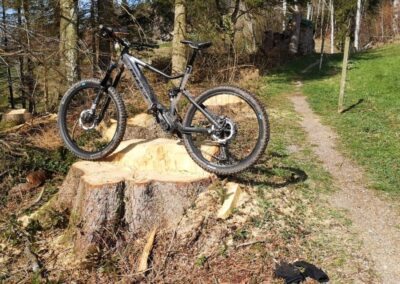 Bulls E MTB Fully auf Baumstrunk