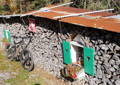 E Bike vor Holz Hüsli