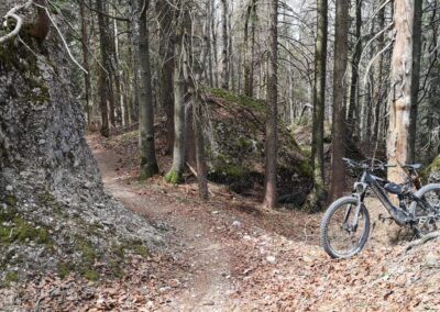 Bulls E MTB Fully im Märliwald