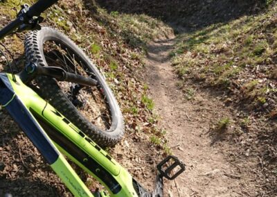 Trek E Bike MTB auf Singletrail