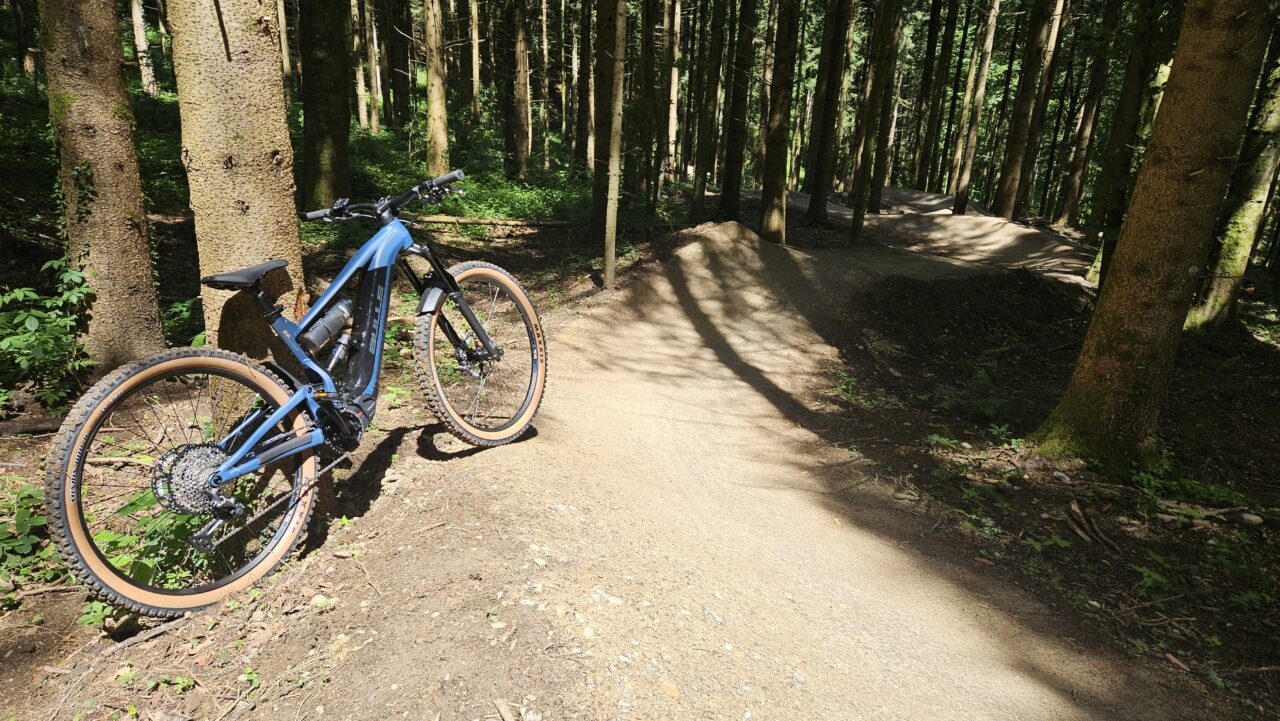 auf dem Trail